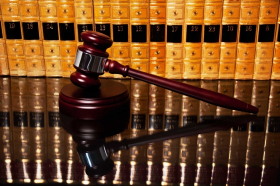 Many Bound Leather Books atop a rich mahogany table form a textured background behind a posed and eager gavel.